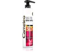 Delia Cosmetics Cameleo BB shampoing à la kératine pour cheveux colorés et méchés 250 ml