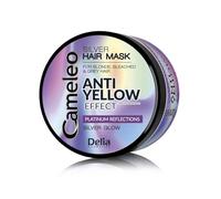 Delia Cosmetics Cameleo Silver masque cheveux anti-jaunissement 200 ml