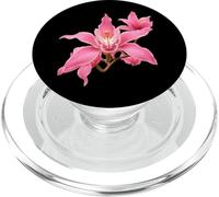 Délicate Rose Cymbidium Orchidée Close-up Formes Mania PopSockets PopGrip pour MagSafe