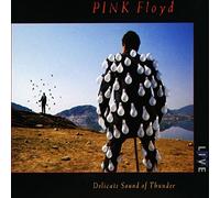 Delicate Sound Of Thunder (1988-11-21)