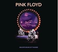 Delicate Sound Of Thunder