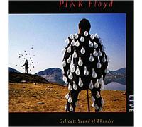 Delicate sound of thunder CD