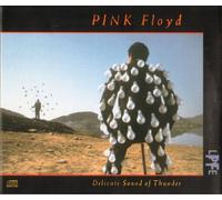 Delicate Sound of Thunder [Import]