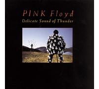 Delicate Sound of Thunder-Live