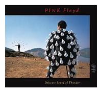 Delicate Sound Of Thunder (Live) G