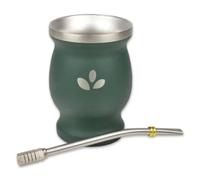 Delicatino - Natural Green Kit à Maté Complet en Acier Inoxydable - Gobelet Isotherme et Bombilla 17 cm, Vert.