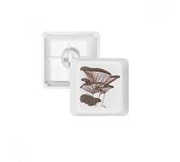 Delicious Home Dish Champignon Illustration PBT Clavier Mécanique Blanc OEM Sans Marquage R4 multicolore