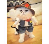 DELIFUR Costumes Noël pour Chien ou Chat Cowboy avec Chapeau