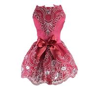 DELIFUR Robe de mariée en Dentelle pour Chien, Tutu, Jupe pour Chiot, Chat, Robe de Princesse, Robe pour fête d'anniversaire, Costume pour Le Printemps et l'été(M)