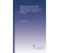 Delineation of a hydrocarbon (weathered gasoline) plume in shallow deposits at the U.S. Naval Weapons Station, Seal Beach, California