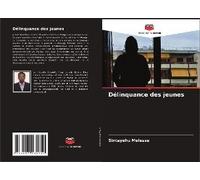 Délinquance Des Jeunes