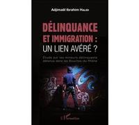 Délinquance et immigration : un lien avéré ? Adjimaël Ibrahim Halidi (Auteur)