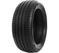 DELINTE DS2 225/45R17 94W XL BSW