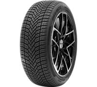 Pneu Delinte AW6 165/60 R 14 75 H