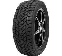 Delinte Winter Wd1 195/55R15 85H Bsw