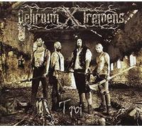 Delirium X Tremens - TROI
