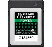 Delkin Carte mémoire CFexpress 256 Go DCFX1-256