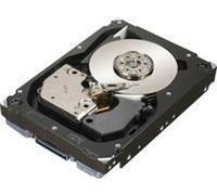 Dell 300GB SAS 15000rpm 2.5" - 2.5" - 300 GB - 15000 RPM