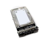DELL 400-AHID Disque Dur 8 To 7200 tr/min 3.5" SATA III HDD pour Serveur/Station de travail, 6 Gbit/s, Compatible PowerEdge R730 et suivants