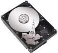 Dell 500G, SATA2, WDC-Zeus, 5H028