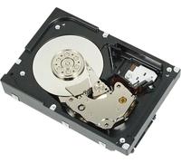 Dell HD,2T,NL6,7.2K,3.5,S-MSKP,E/C