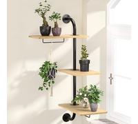 DELLAN Étagère rotative pour Plantes à Suspendre pour fenêtre, Fixation Murale d'intérieur (3 Niveaux)