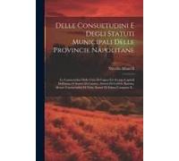 Delle Consuetudini E Degli Statuti Municipali Delle Provincie Napolitane: Le Consuetudini Delle Città Di Capua Ed Aversa, Capitoli Dell'assisa O Statu