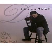 Dellinger - Why Can't You Feel [Vinyl LP]