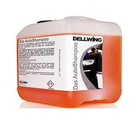 DELLWING - Shampooing pour voiture concentré, 5 l - Shampooing de qualité professionnelle pour votre voiture - À diluer jusqu’au 1/100