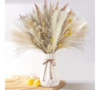 dellyy 40~44cm Pampa, 73pcs Fleurs Séchées Décoration du Salon, Herbe de la Pampa Séchée, Décoration d'herbe de la Pampa, Décoration de Table de Mariage, Décoration de Salle, Vase Non Inclus(A)