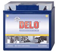 Delo Batterie Au Gel, Rempliée Et Fermée 51814/51913 12V/19AH