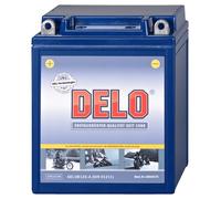 Delo Batterie Au Gel, Rempliée Et Fermée YB12A-A 12V/12AH SAE 145A