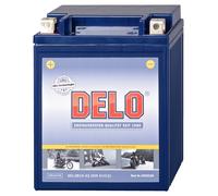Delo Batterie Au Gel, Rempliée Et Fermée YB14-A2 12V/14AH SAE 230A