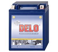 Delo Batterie Au Gel, Rempliée Et Fermée YB14L-A2 12V/14AH SAE230A