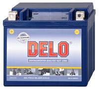 Delo Batterie Au Gel, Rempliée Et Fermée YTX12-BS 12V/12AH SAE170A