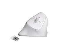 DeLOCK 12596 Souris Optique Verticale sans Fil 2.4GHz 1600 DPI, 4 Boutons Programmables, Interface RF, Portée 20m, Design Droitier Ergonomique, Blanc