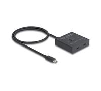 DeLOCK 18911 hub & concentrateur USB 3.2 Gen 2 (3.1 Gen 2) Type-C 10000 Mbit/s Noir