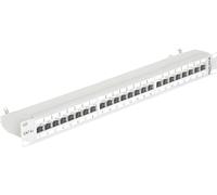 Delock Panneau de brassage 24 ports Cat.6A Gris 19''