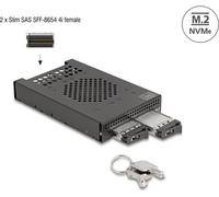 DELOCK 3.5 Wechselrahmen für 2 x M.2 NVMe SSD Slim SFF-8654