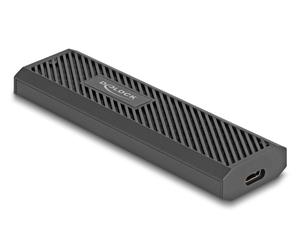 DeLOCK 42031 Boîtier de disques de stockage Enceinte ssd Noir M.2