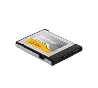 DeLOCK Carte mémoire CFexpress 54066 256 Go – Lecture 1550 Mo/s Écriture 900 Mo/s