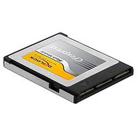DeLOCK Carte mémoire CFexpress 54066 256 Go – Lecture 1550 Mo/s Écriture 900 Mo/s