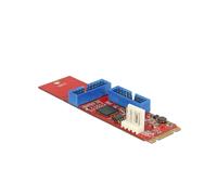 DeLOCK 62843 Adaptateur Interne M.2 vers USB 3.2 Gen 1 (3.1 Gen 1), Chipset Renesas, 5 Gbit/s, Support Windows/Linux, 22x82x14mm