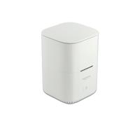 DeLOCK 63331 Boîtier de disques de Stockage Enceinte ssd Blanc M.2