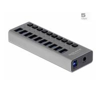 Delock 63670 Hub USB 10 ports USB-A USB 3.1 Gen1 5 GBit/s avec fiche mâle USB-C