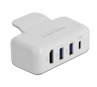 DeLOCK 64080 hub & concentrateur USB 2.0 Type-C Blanc