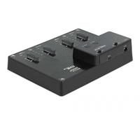 Delock 64124 - SSD - M.2 - USB 3.2 Gen 2 (3.1 Gen 2) Type-C - 10 Gbit/s - Noir - 164 mm
