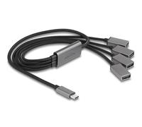Delock 64210 hub & concentrateur USB 2.0 Type-C 480 Mbit/s Noir, Gris
