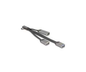Delock 64303 Hub USB-C / MicroSD