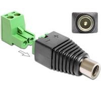 DeLock Adaptateur bornier 2 broches vers DC 2,1 x 5,5 mm Bu 2